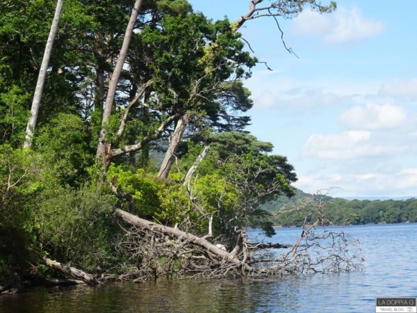 lough lane killarney national park