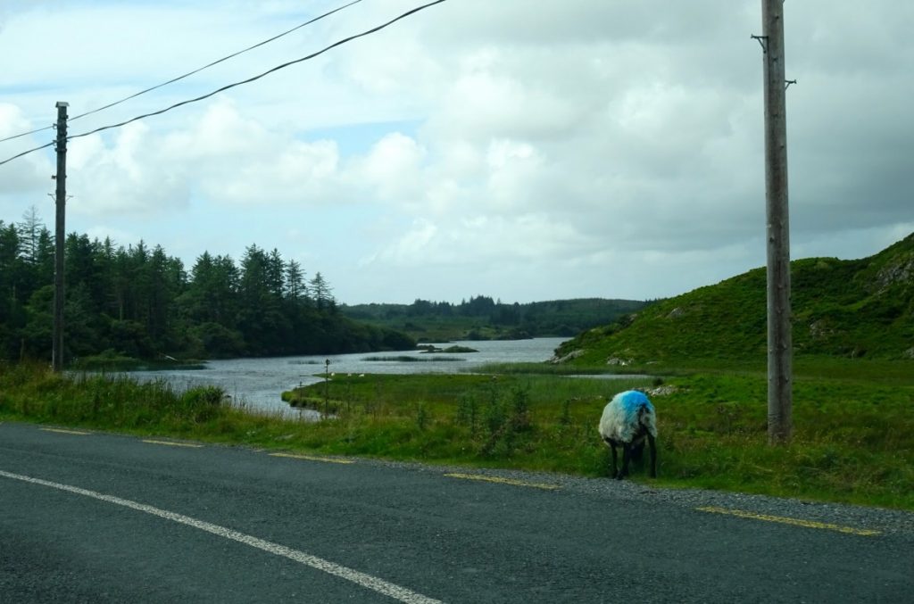 Irlanda Connemara miti e leggende di Yeats