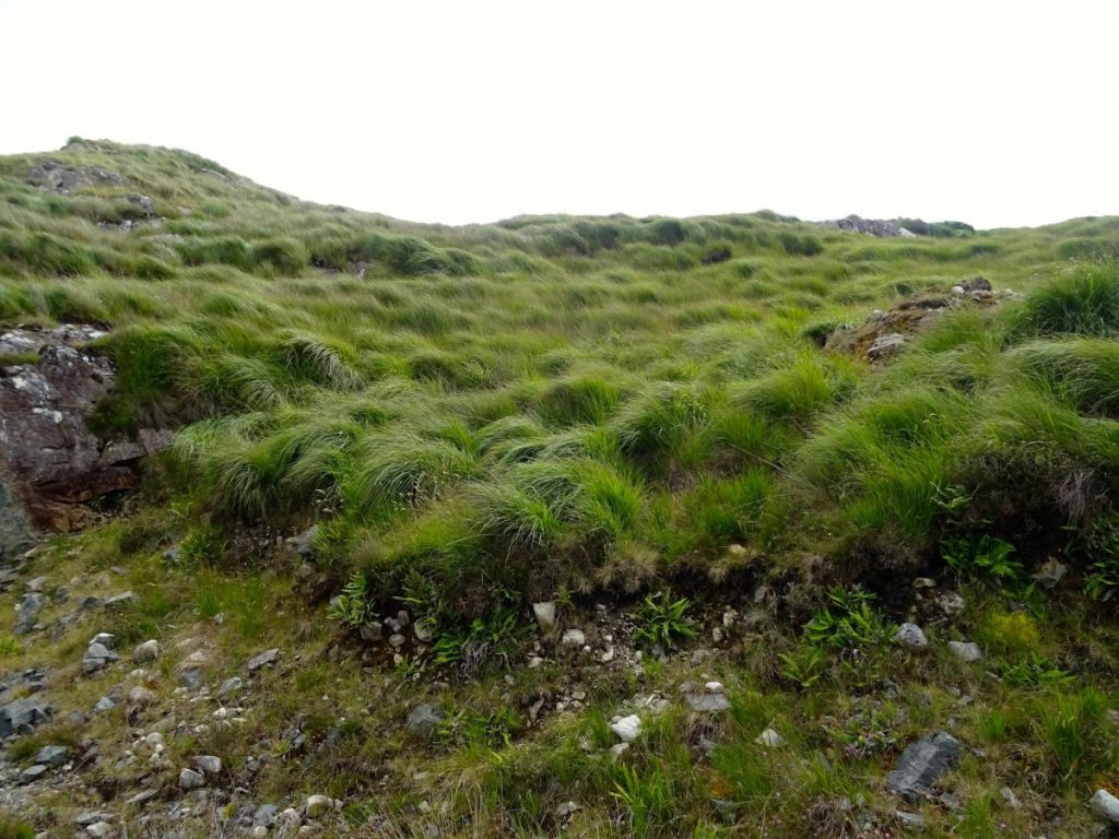 Connemara