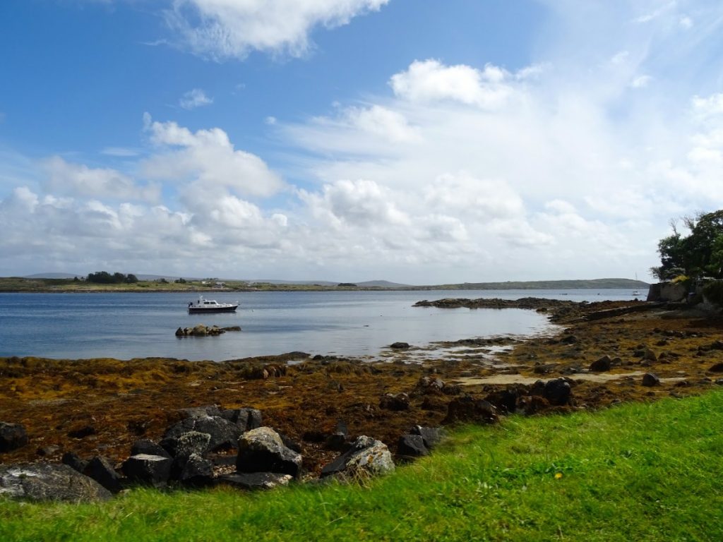 Mayo e Roscommon
