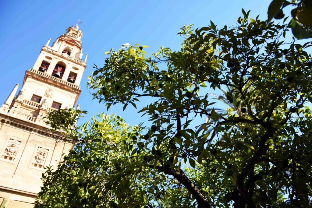 Mezquita di Cordoba