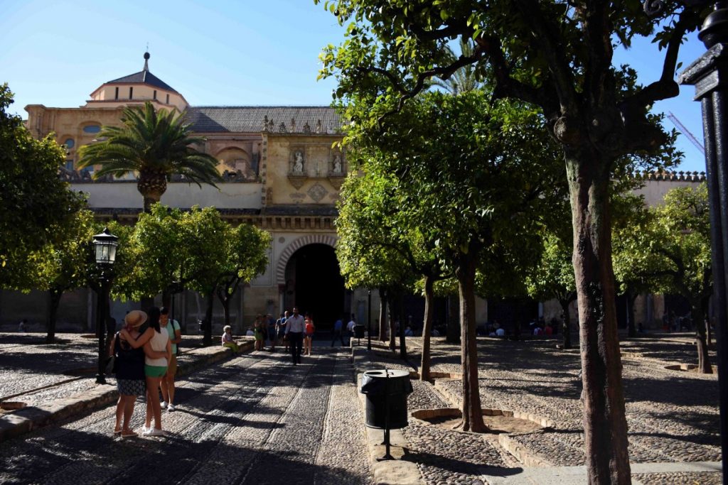 Patio de los Naranjos