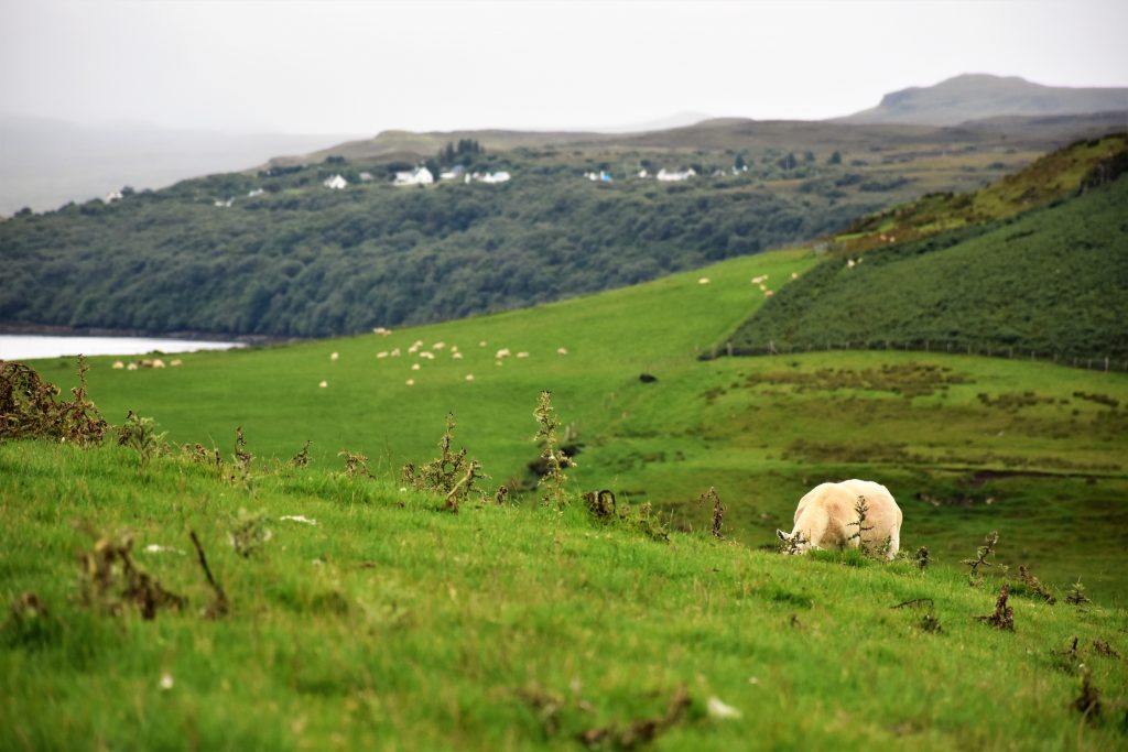 isola di skye meteo