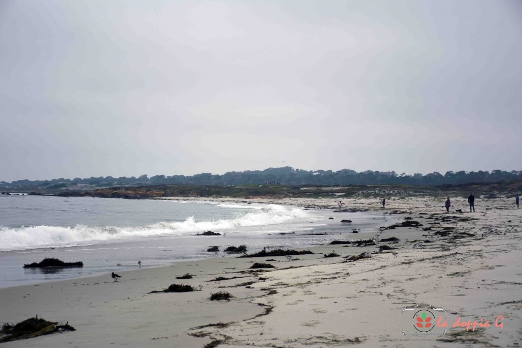 17 mile drive california