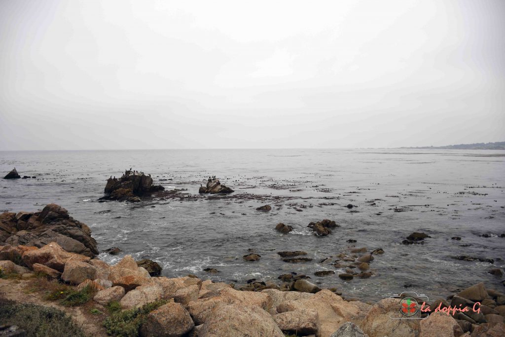 17 mile drive california