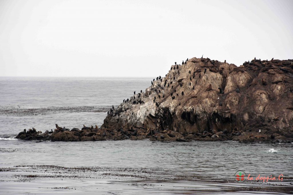 17 mile drive california