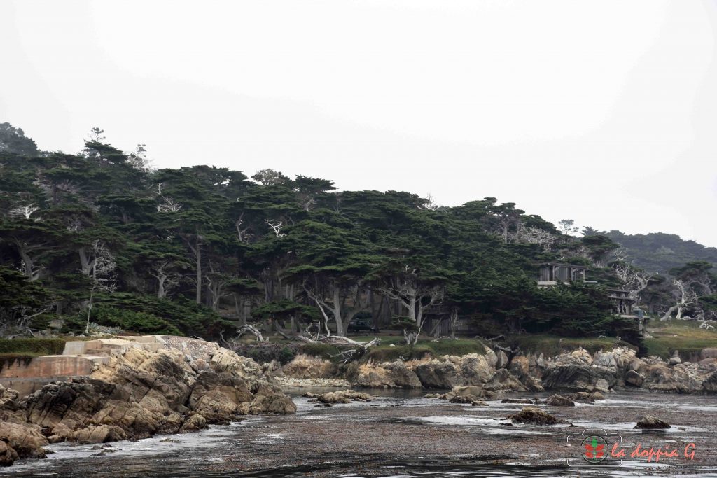 17 mile drive california