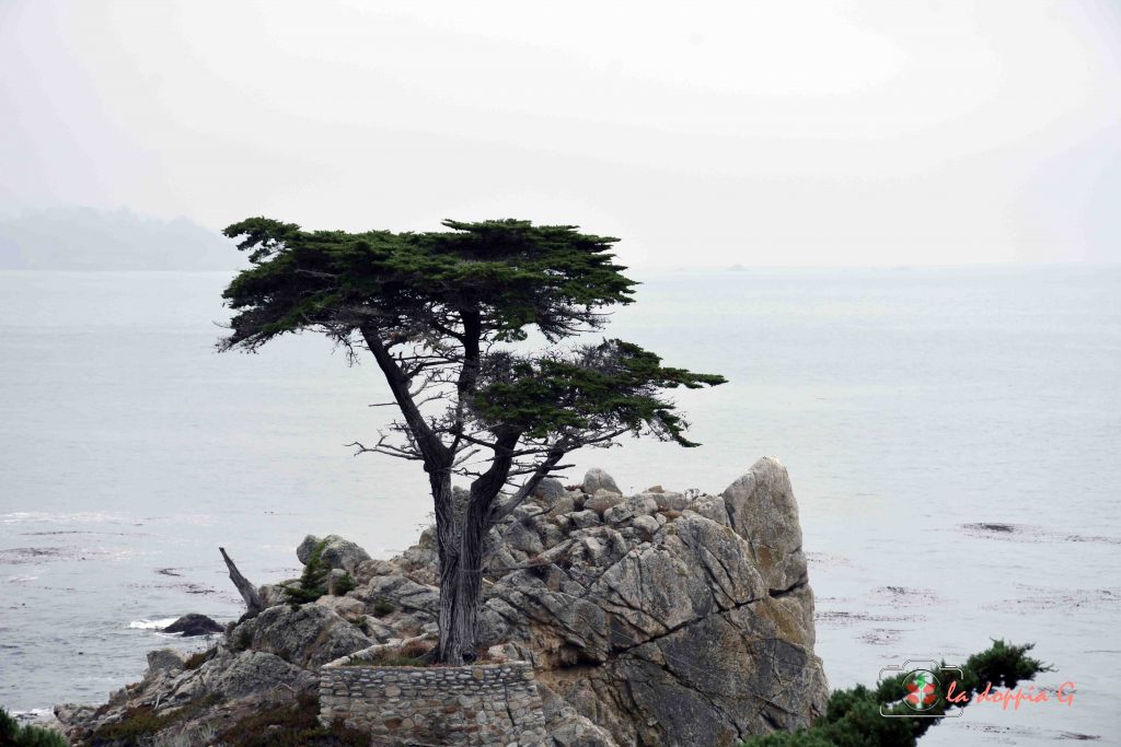 17 mile drive california