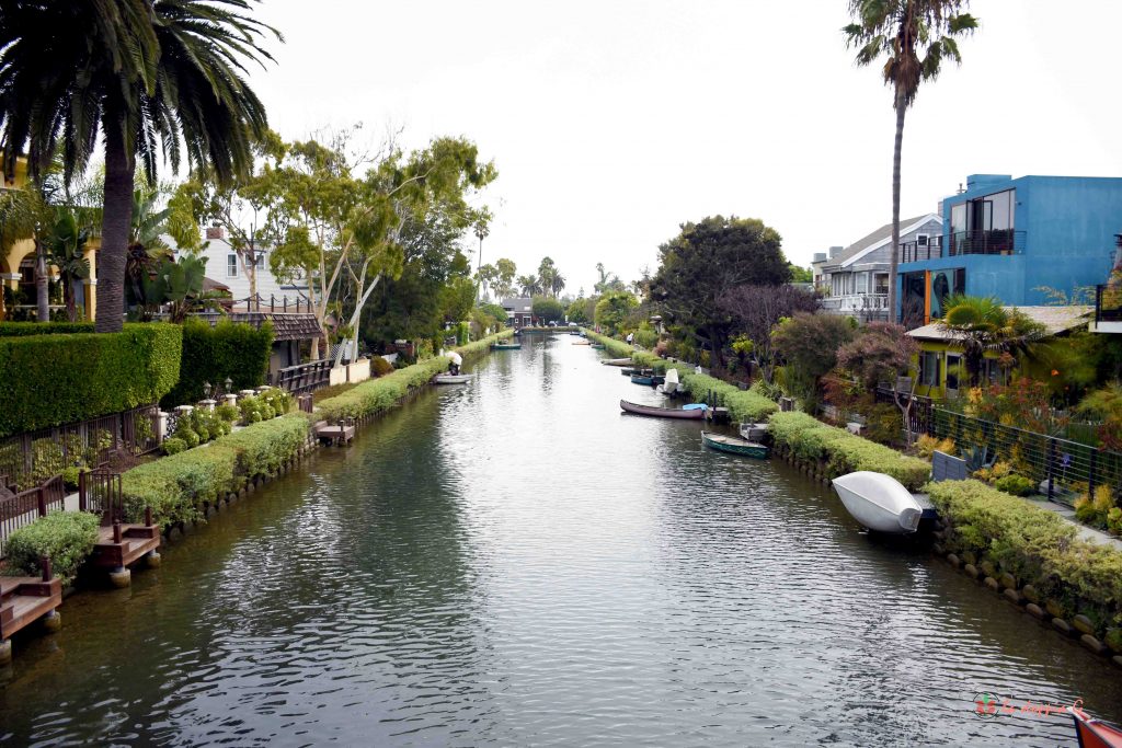 venice beach