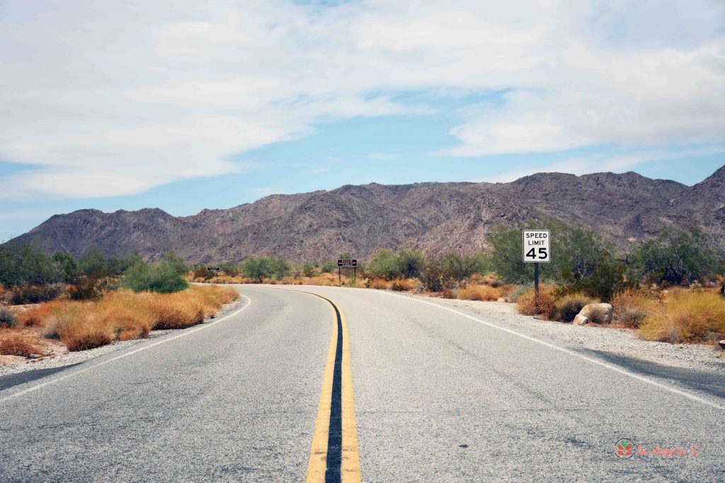 joshua tree park