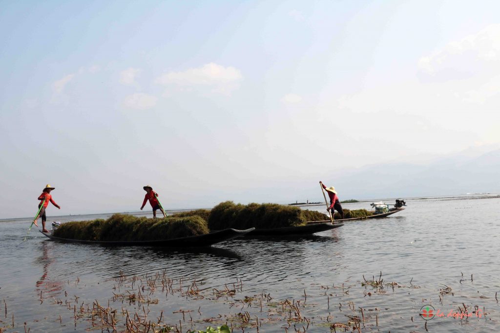 LAGO INLE