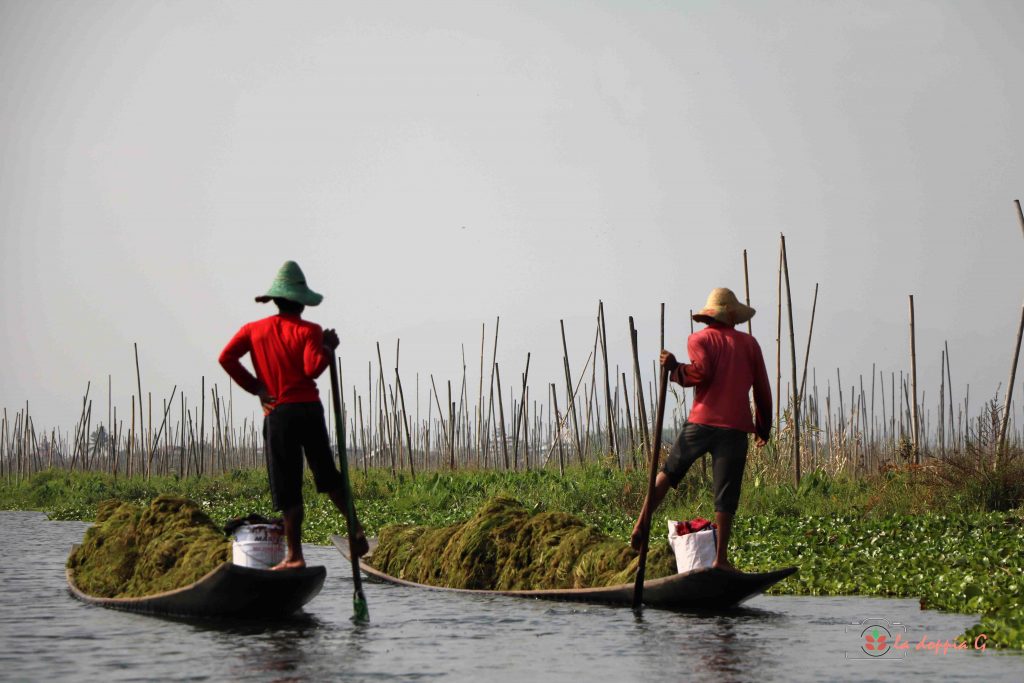 LAGO INLE