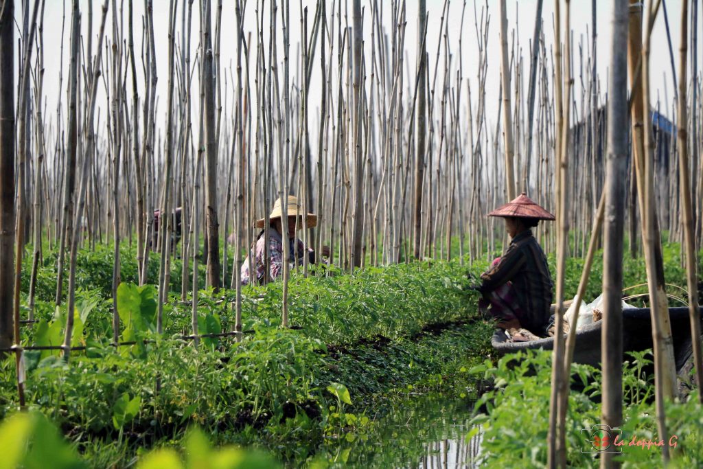 LAGO INLE