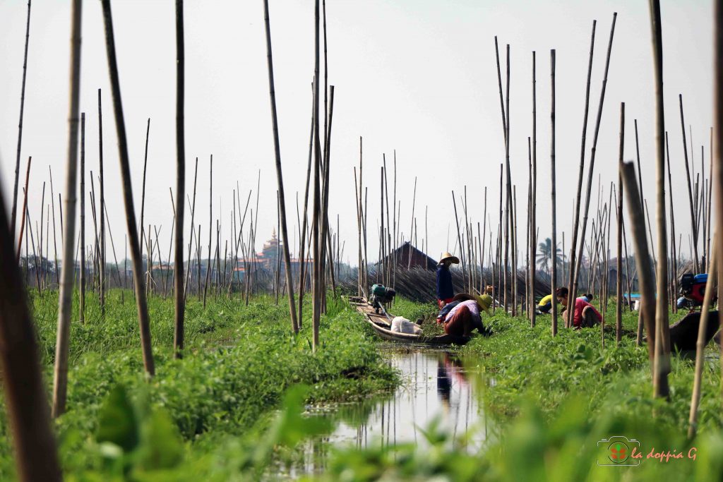 LAGO INLE