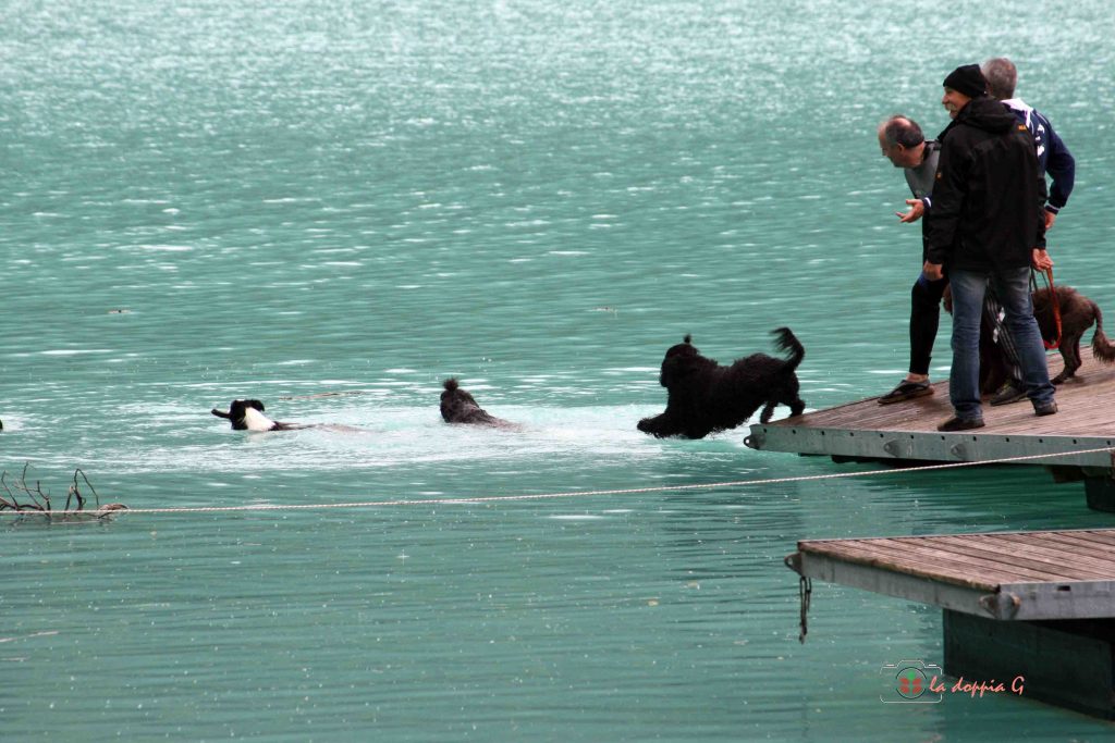 lago di barcis con il cane