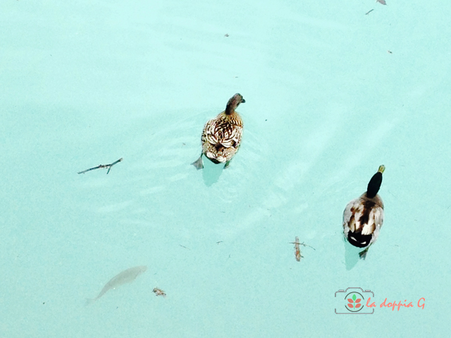 lago di barcis colore