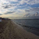 bellaria igea marina