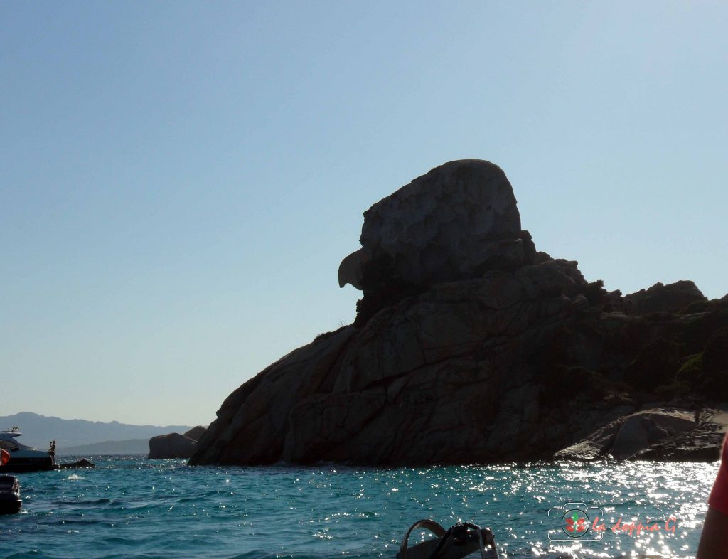 naso della strega a spargi nelle piscine della maddalena