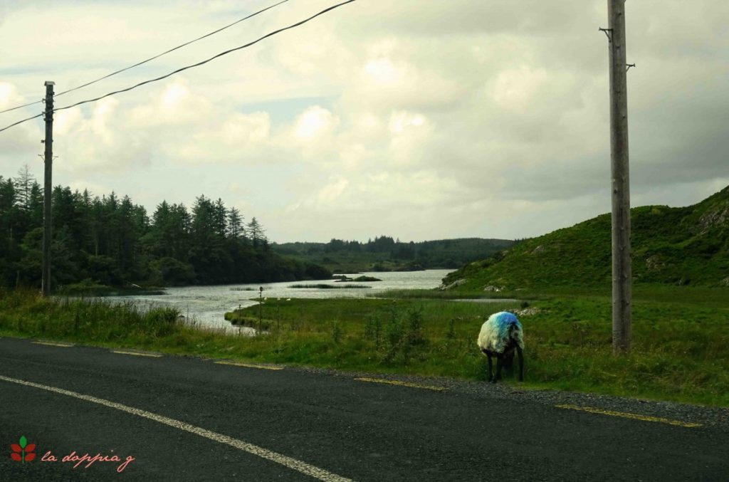 scozia connemara