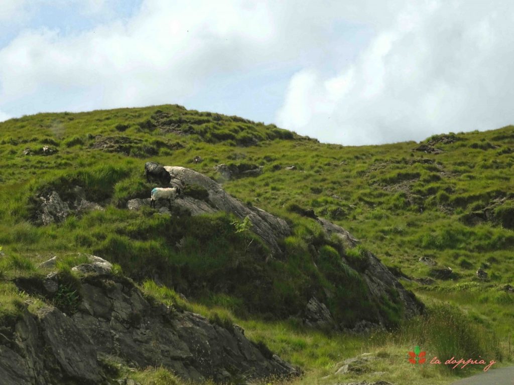 scozia connemara