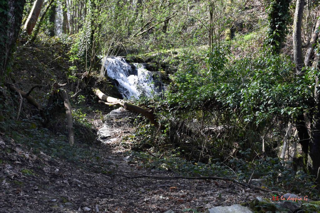 vicino a campo di croce