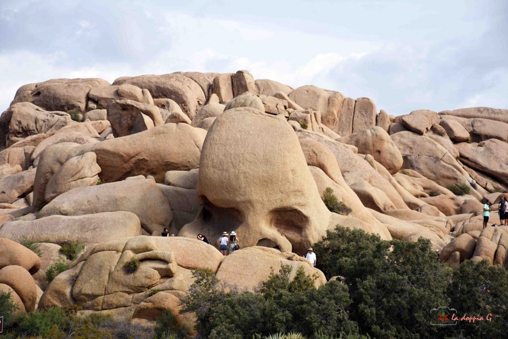 joshua tree park