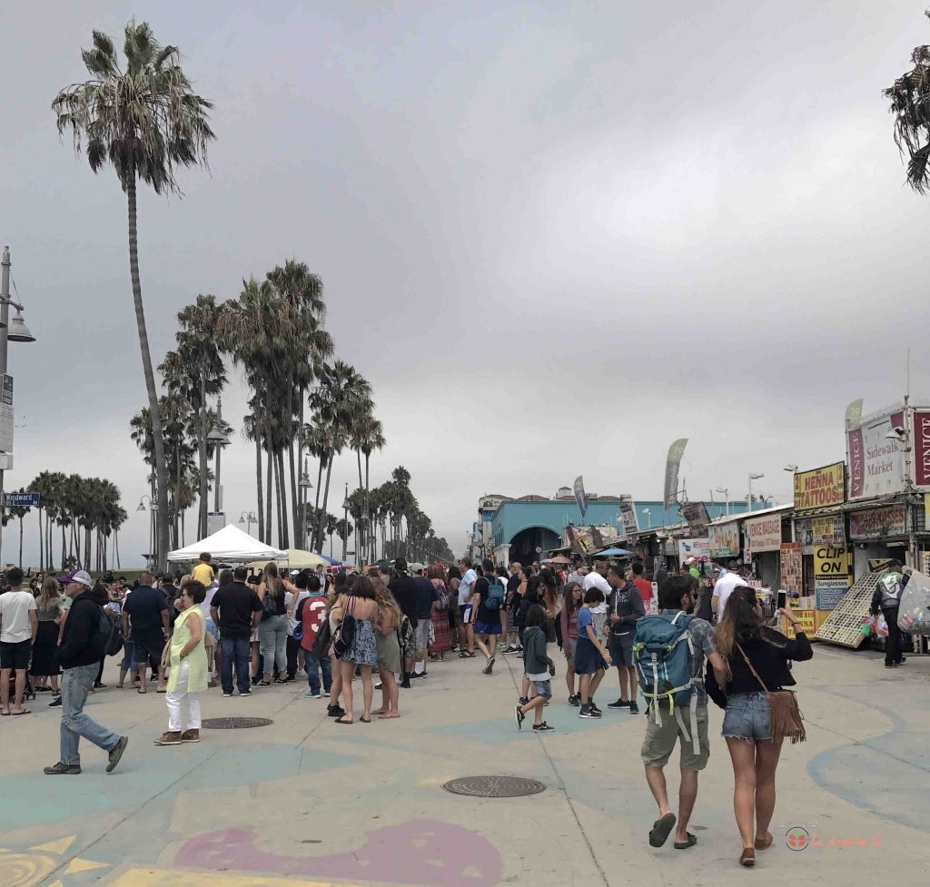 venice beach