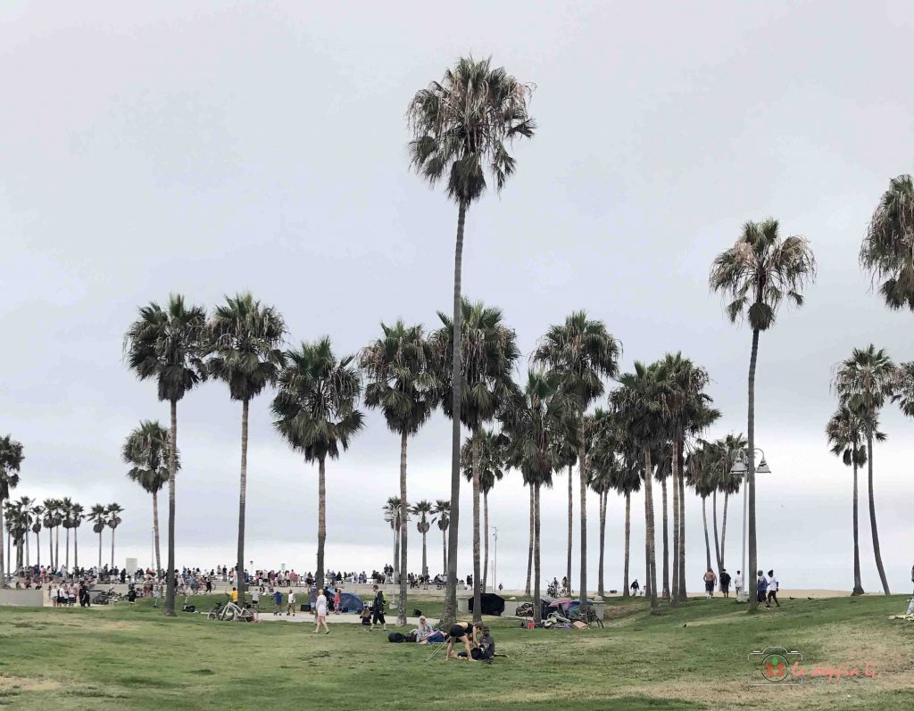 venice beach