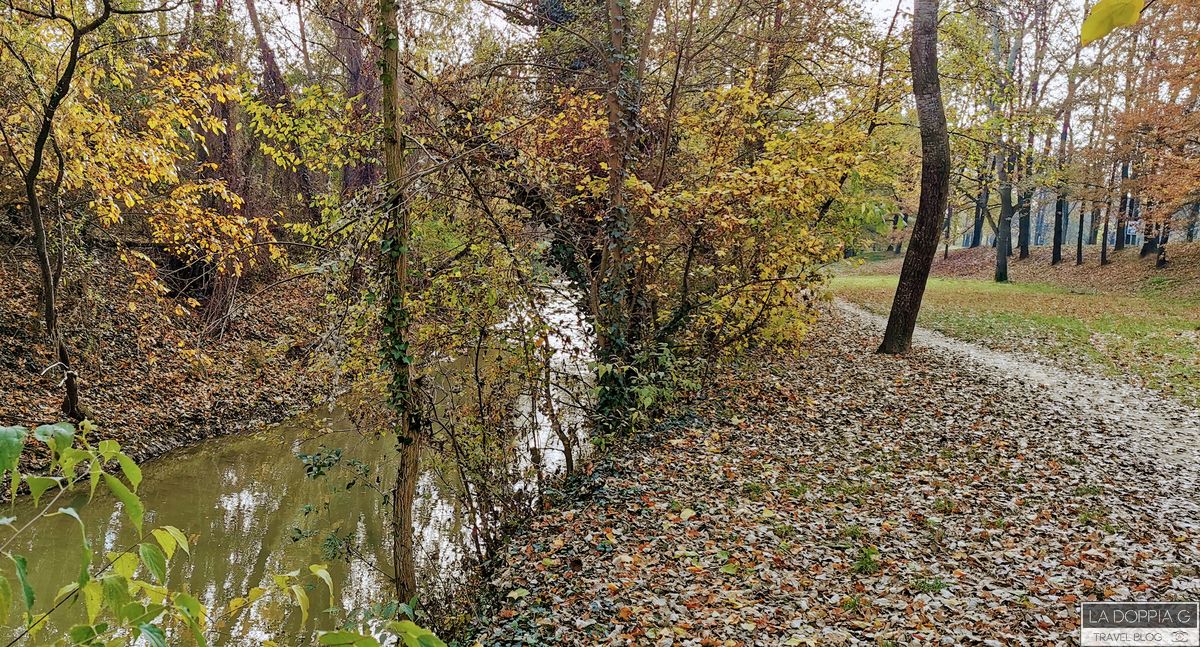 fiume savena nel parco dei cedri a san lazzaro di savena bologna