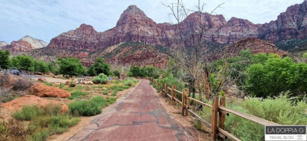 trail lungo il canyon dello zion national park. itinerario on the road parchi usa tra arizona a utah